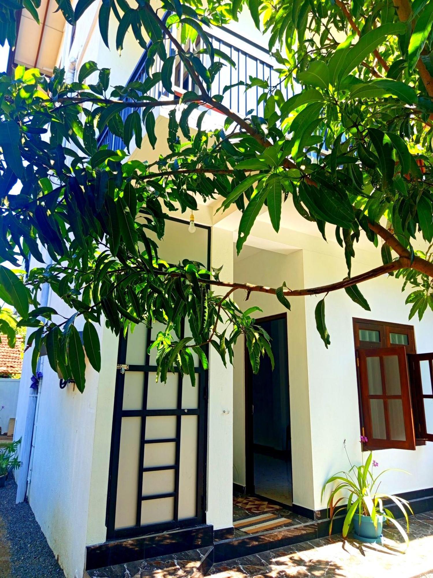 Ferienwohnung Olu Bunk Dikwella Exterior foto